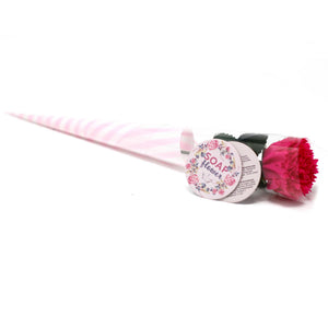 Fleur de Savon – Petit Œillet
