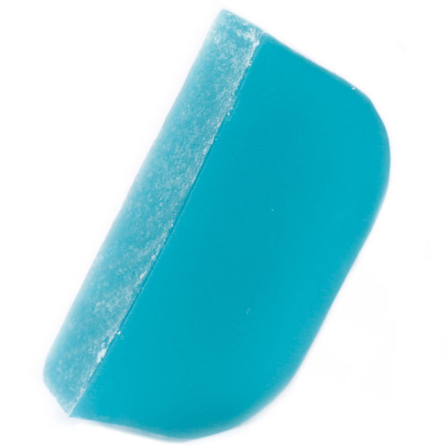 Shampoing Solide Tea Tree & Menthe Poivrée – Base Argan 115g