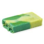 Savon à l'Aloé Vera Purifiant & Huile d'Olive (100g)