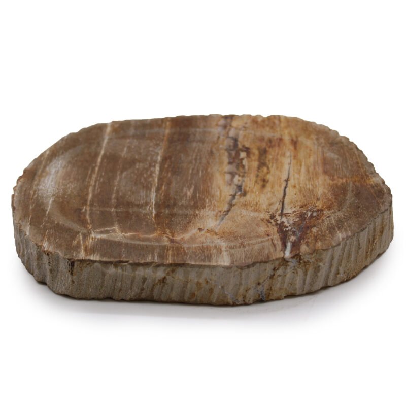 Porte-savon en bois pétrifié brun