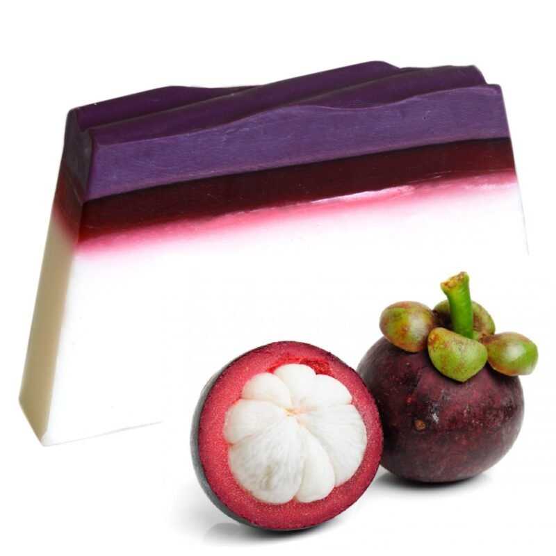 Savon au Mangoustan (120g)